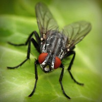 /album/baris33/photolia-a01-jpg/