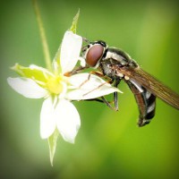 /album/baris33/photolia-a02-jpg/