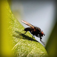 /album/baris33/photolia-a04-jpg/