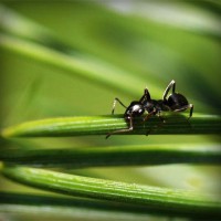 /album/baris33/photolia-a05-jpg/