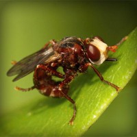 /album/baris33/photolia-a06-jpg/