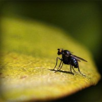 /album/baris33/photolia-a07-jpg/